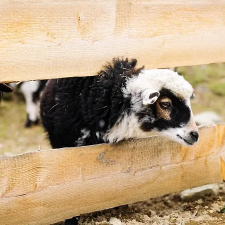 Prázdninový dům Marktlalm