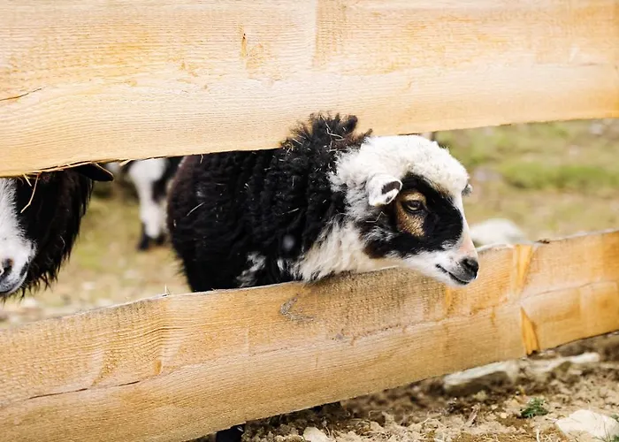 Dom wakacyjny Marktlalm